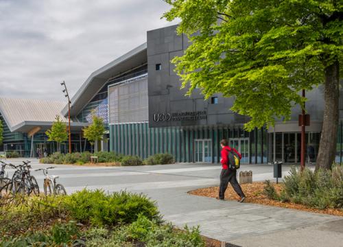 UCD blog