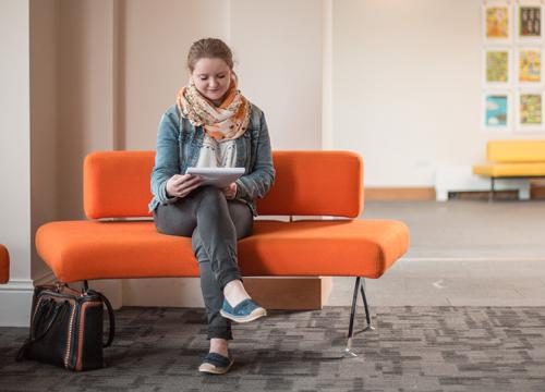 Mary Immaculate College: Ideas for Promoting the Survey
