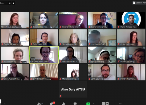 Screenshot of all panelists at Practitioners Forum 2020 Webinar 1