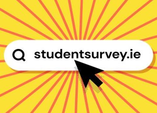 StudentSurvey.ie in black font against a white background. This image is for design purposes.