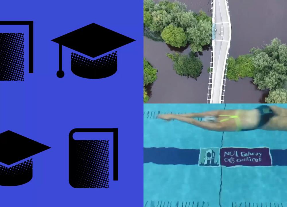 What is StudentSurvey.ie?