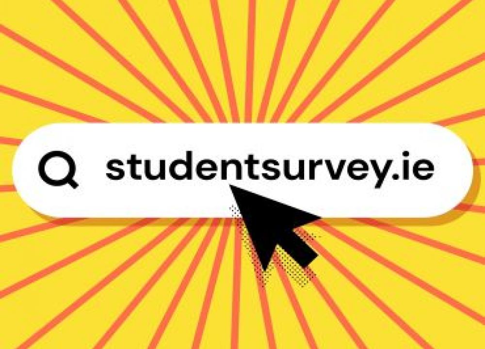 StudentSurvey.ie in a searchbar