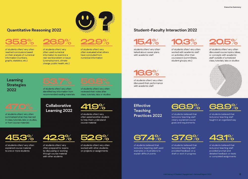 Excerpt from StudentSurvey.ie National Report 2022